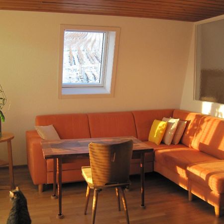 Appartement Haus Am Weinberg à Erzingen Extérieur photo