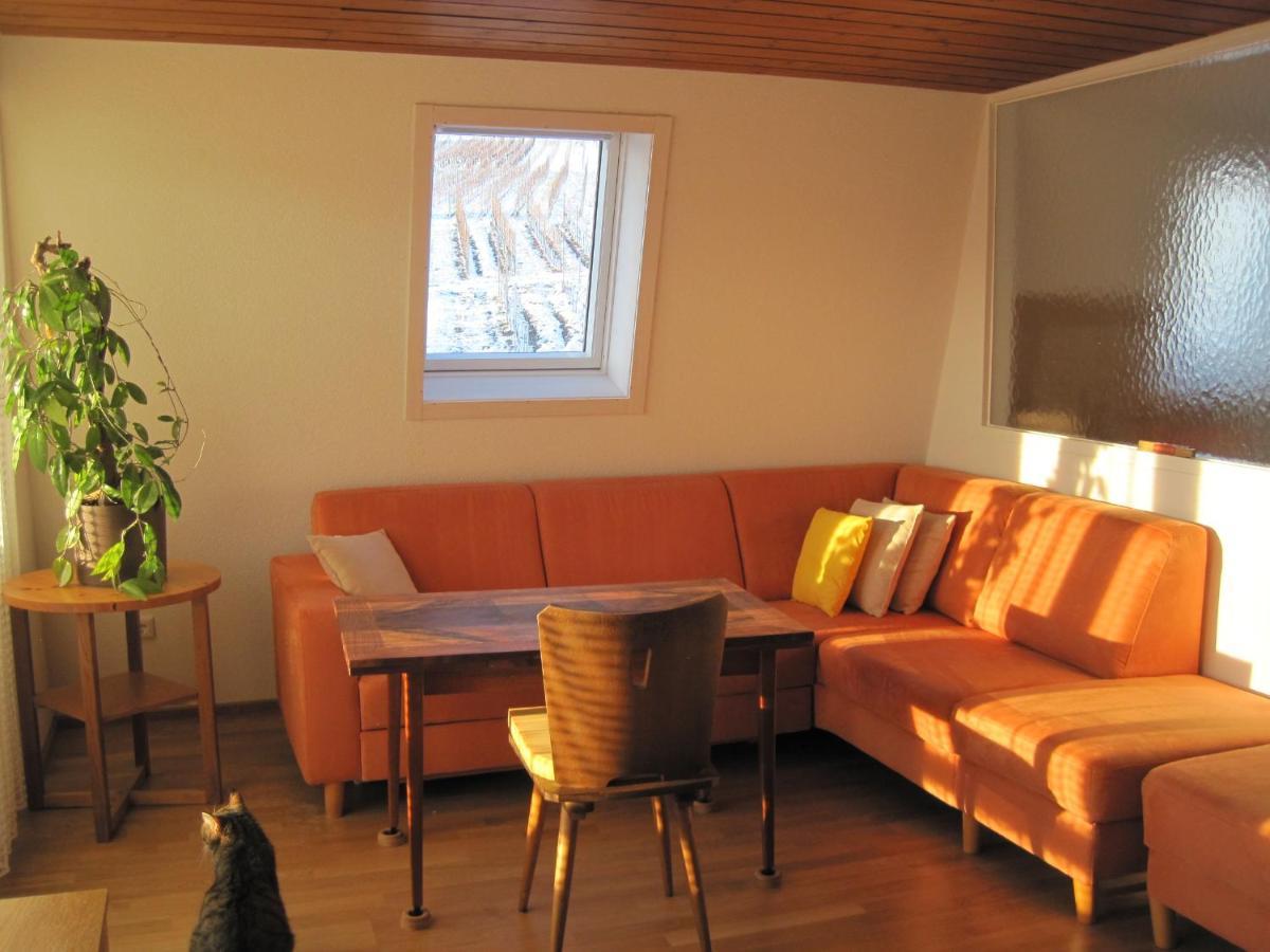 Appartement Haus Am Weinberg à Erzingen Extérieur photo